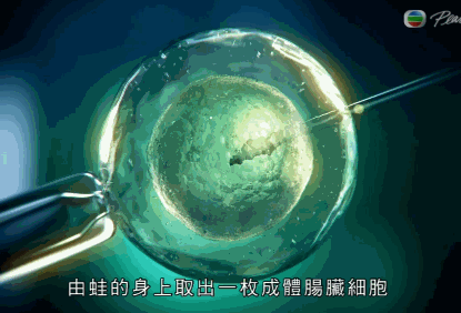 霍金:干细胞是人体内的"超能力细胞"!未来可攻克一切疾病