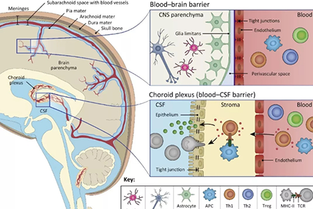 1588403714509367.png 4.17-1-1.png