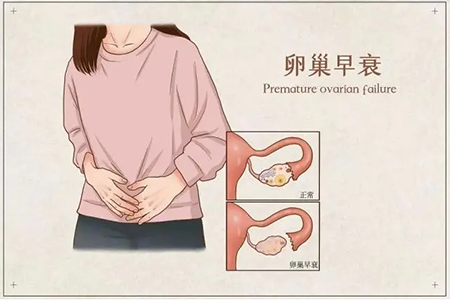 干细胞疗法：再现卵巢“第二春”-1-1.png